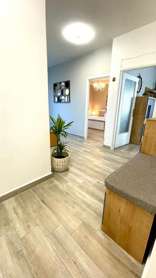 Apartment For 6 + Free Parking Place 扎达尔 外观 照片
